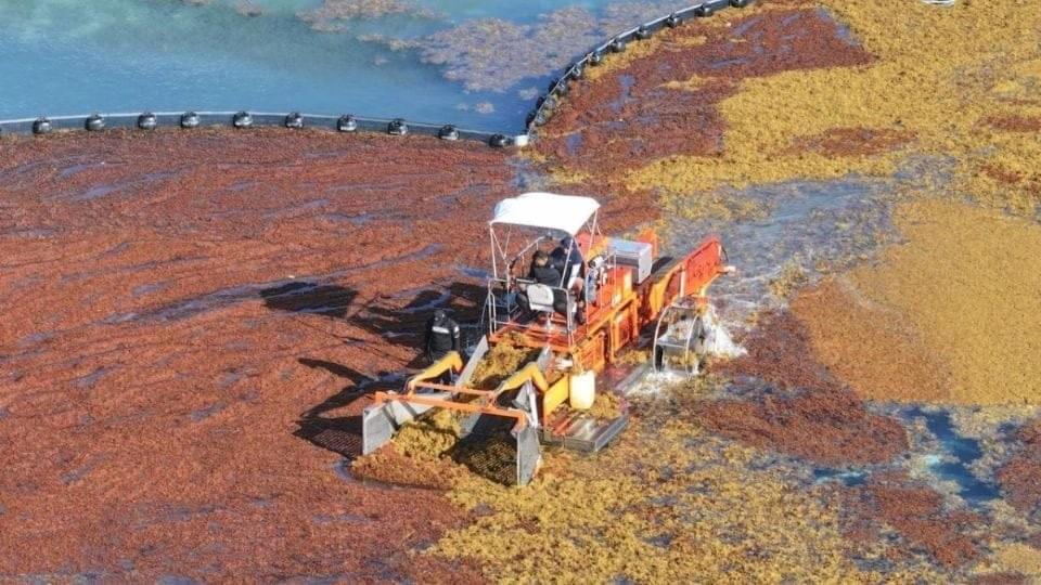 Aquatic Weed Harvester AQM H8-350